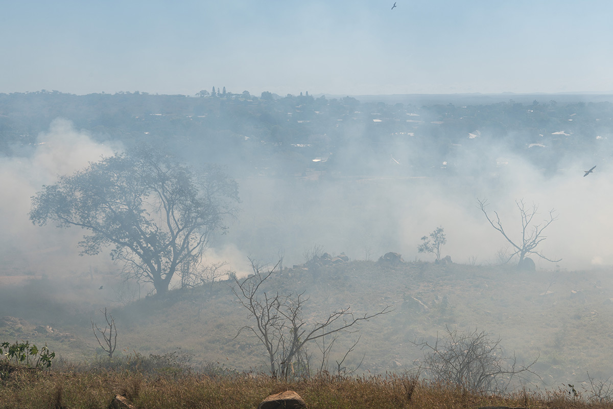 Bushfire smoke in Australian landscape.