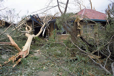 House damaged in storm by fallen trees.