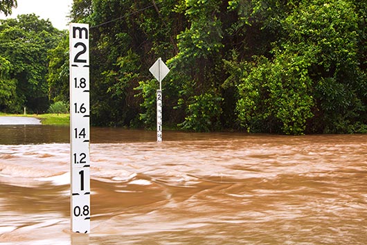 Depth markers submerged in floodwaters.